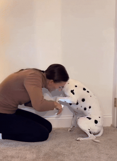 Tassfikseren™ - Slipp bekymringen ved hvert klipp